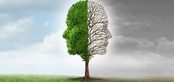 A tree split in half with two faces. One side lush and green against a blue sky, and the other side bare with a grey, cloudy sky.